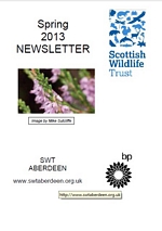 Link to the Spring 2013 Newsletter