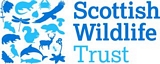 SWT Logo